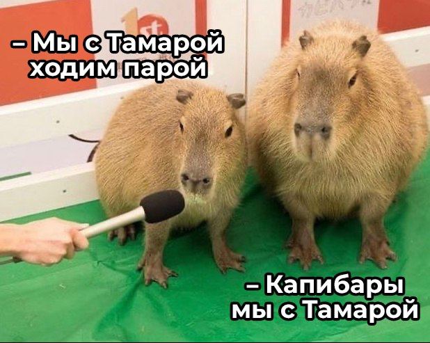 Дегрономикон 2