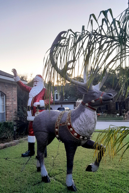 Литературный клуб "Птица Говорун"