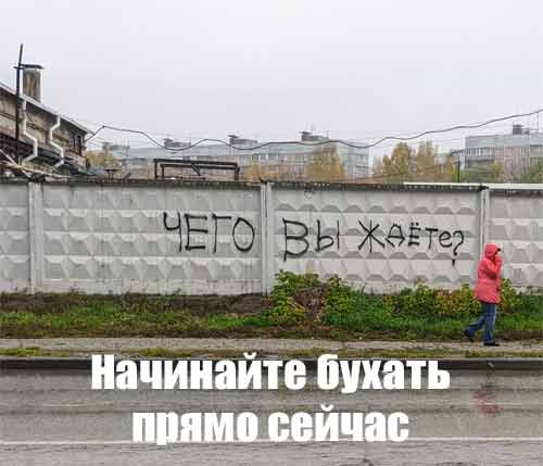 Картинки для деградации 113 (разной степени свежести)