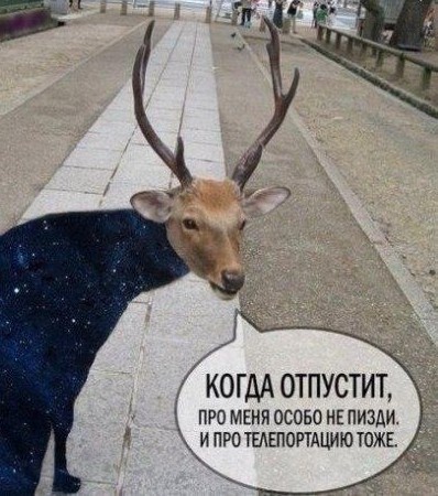 Антарктида — это гигантская ледяная преграда, которая защищает наш мир, словно заповедник.