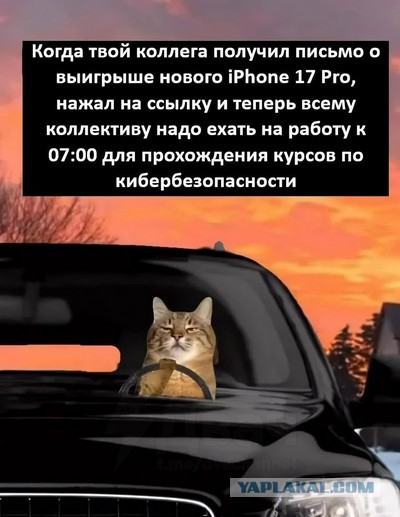 Жадность и тупость