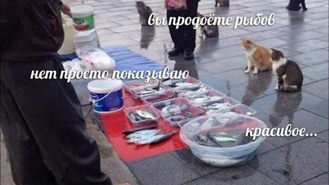 Если долго смотреть на макароны - то они начинают смотреть на тебя...