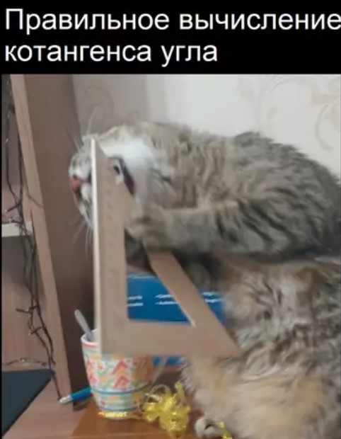 Картиночки, баянчики 15 марта