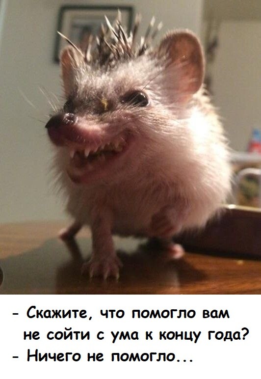 Картинки для деградации 172 (разной степени свежести)