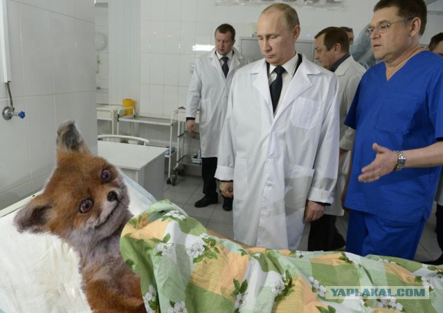 Под одеялом.Фотожаба.
