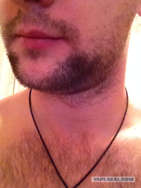 Выращиваем бороду в комнатных условиях