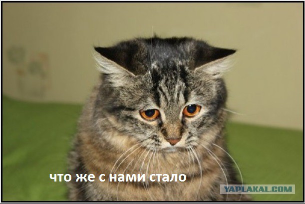 Солдаты будущего.Чем вооружены "вежливые люди"?