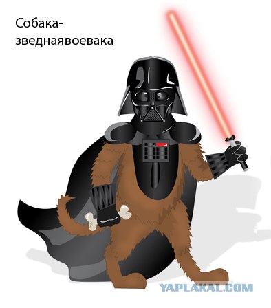 Собаки - одуреваки.