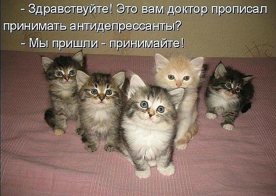 Капля позитива