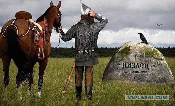 Если вас укусила гадюка..