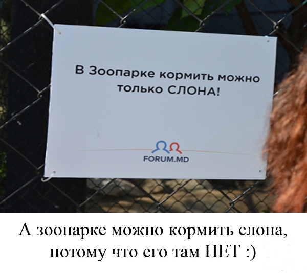 Позитив из зоопарка