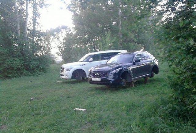 сходили за грибочками