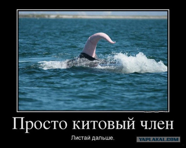 Подлодка у Швеции: Это не Курск-2, а провал НАТО