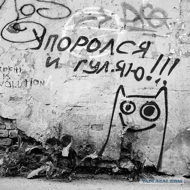 Упоротые картинки