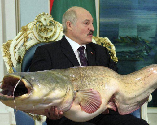 Вытащил монстра