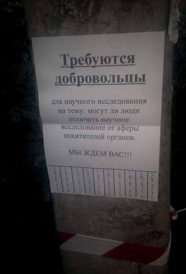Картинки, надписи