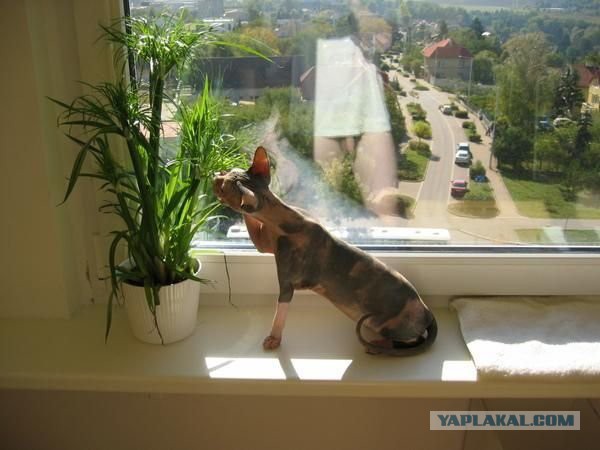Безумные отражения, которых не должно было быть