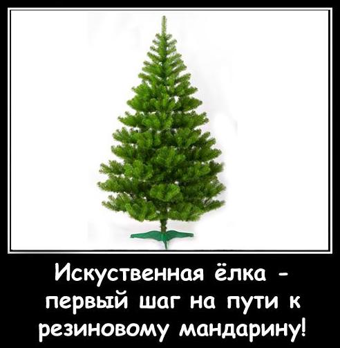 Картинки на утро вторника