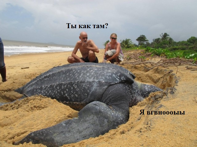 Подборка красивых фото