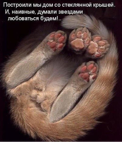Картинки на пятницу