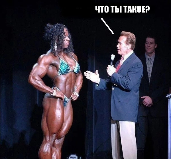 Интересные и веселые картинки