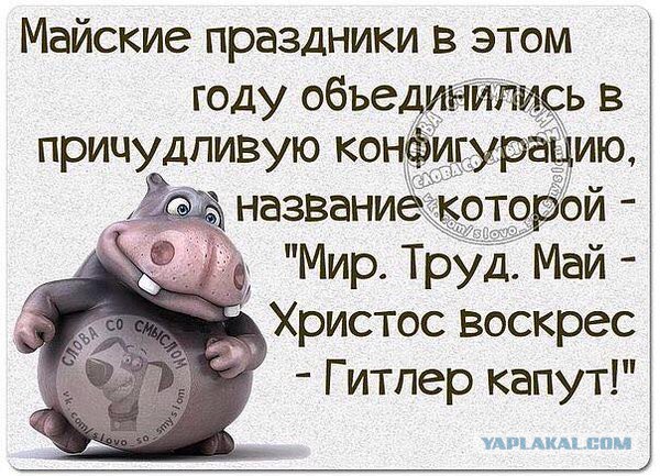Смешные комментарии из социальных сетей 13.05.2016