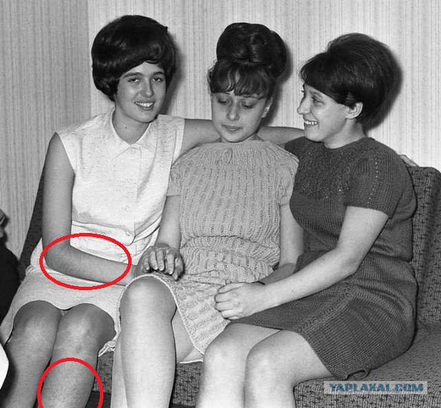 Студенческая вечеринка 1967 года