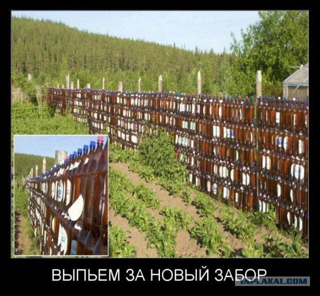 Смешные комментарии 05.06.2016