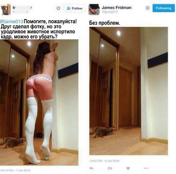 Ужасы и приколы из соцсетей 18+