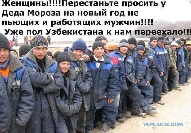 Дурацкие картинки