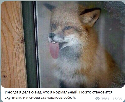 Картинки со смыслом и без - 4