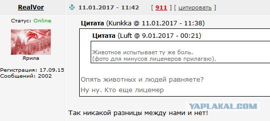 Лиса вмерзла в лед