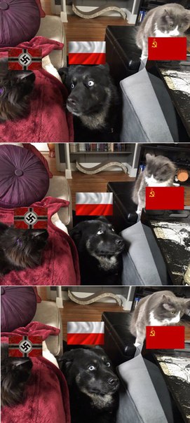 Картинки из мусорной корзинки 2