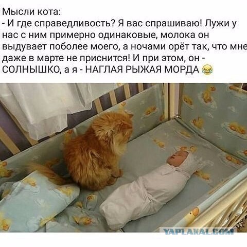 Малыши