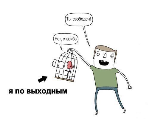 Подборка интересных и веселых картинок