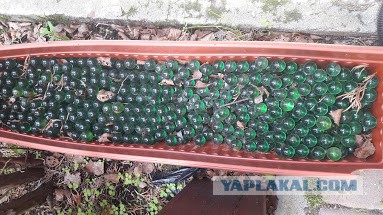 Криптовалюта моего детства