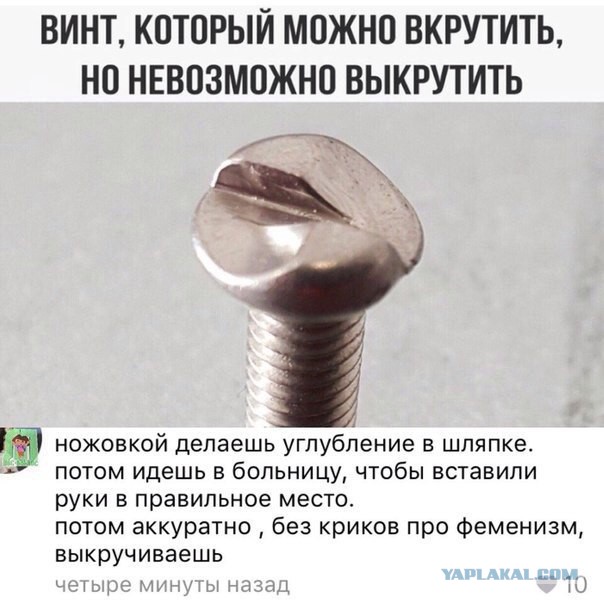 Пятничный абсурд и деградация приветствует вас!