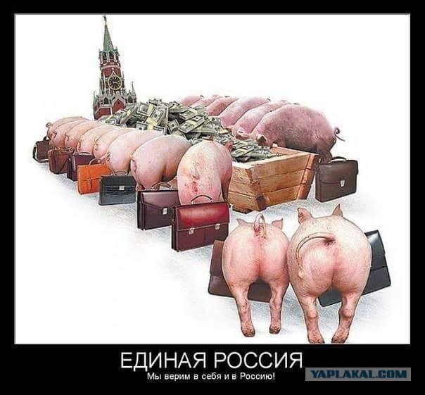 "Справедливая Россия" на выборах поддержит Владимира Путина