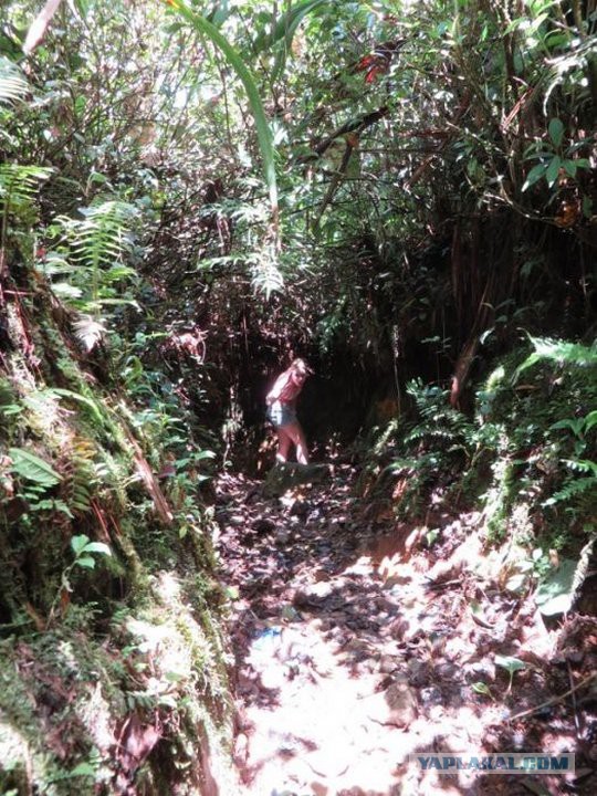 Исчезновение и трагическая гибель Лисанн Фрон и Крис Кремерс