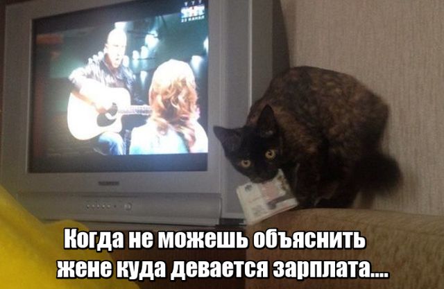 Немного милоты