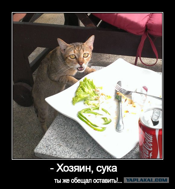 - Хозяин, сука, ты же обещал оставить...