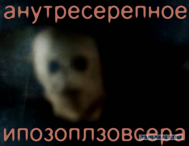 Мужу: "Что это было?!"