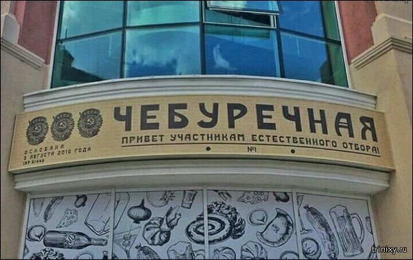 Разные картинки