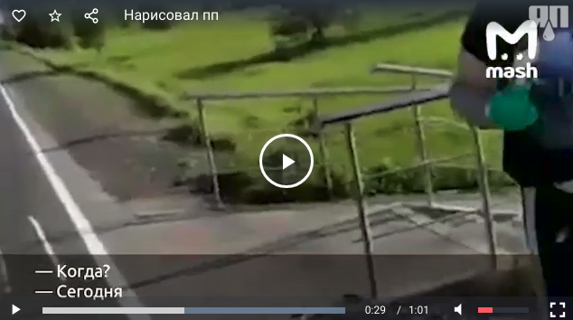 В Новой Москве задержали мужчину. За дорожку. Самодельную. Пешеходную. Дорожку.
