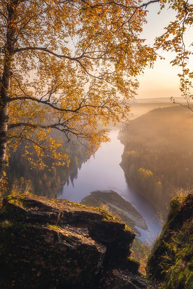 Картинки, которые я НЕ видел на портале