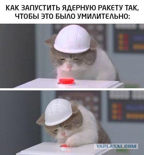 Немного картинок для настроения 25.10.19