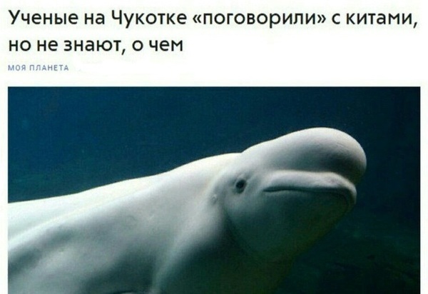Чуток картинок!