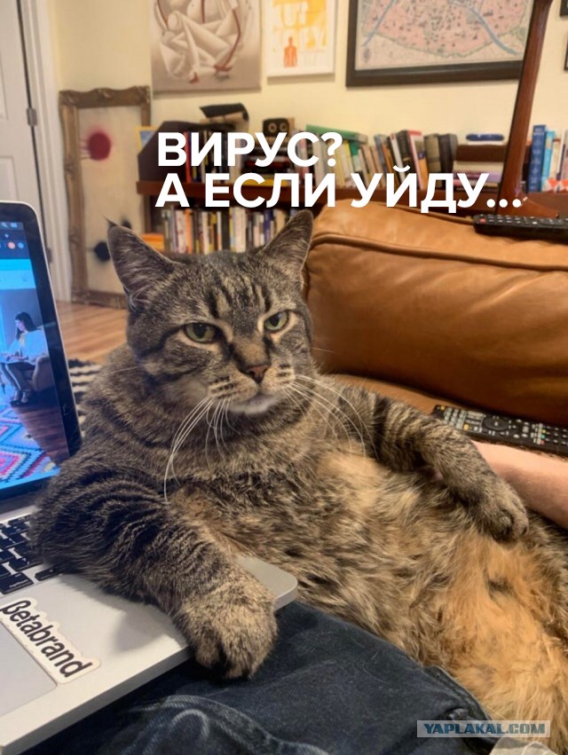 Если ты надеялась, что дома тебя будут меньше контролировать, то нет