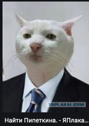 Кулинария: Мальтийская Солянка