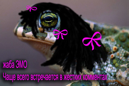 Жабы на ЯПлакалъ